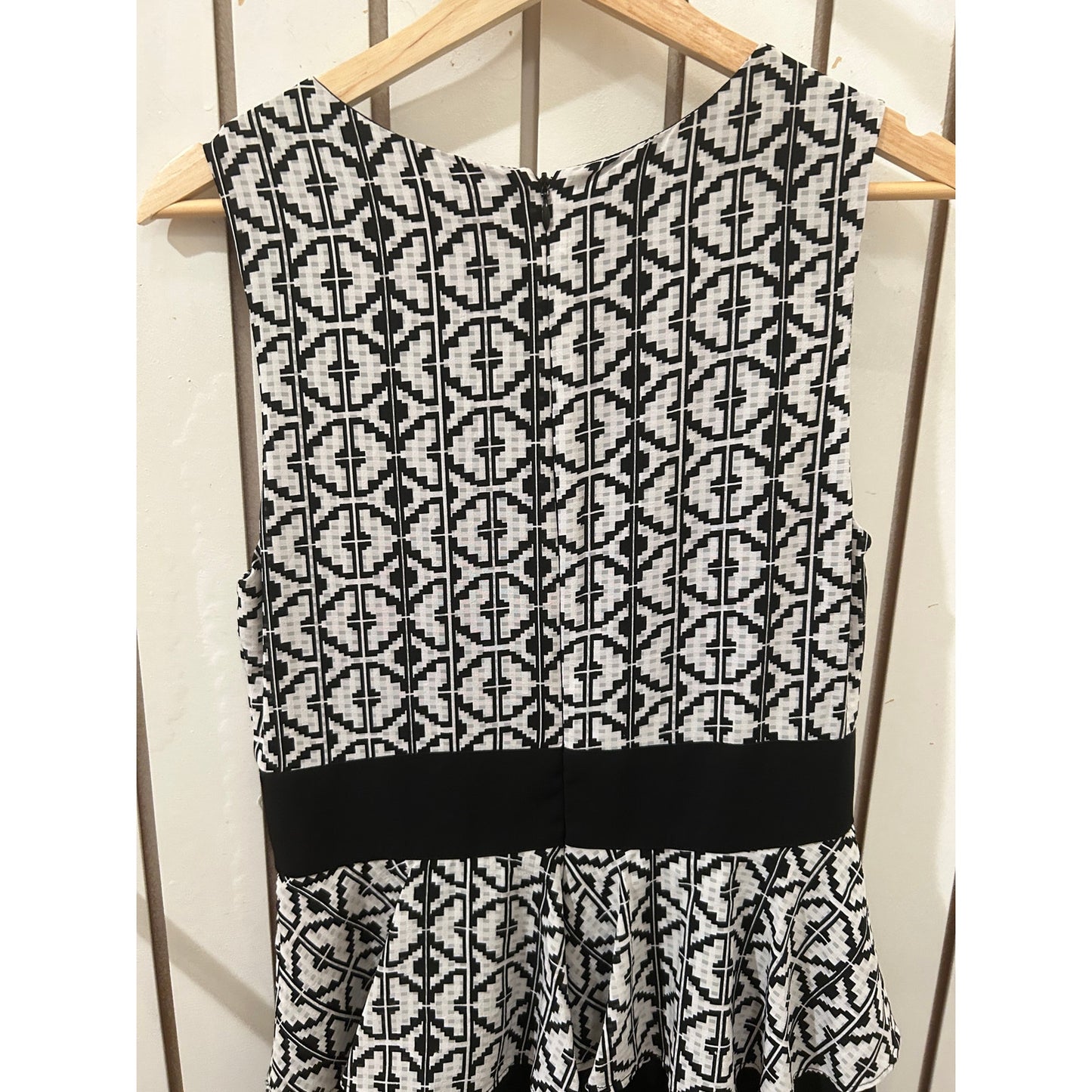 Eva Franco Dress Size 6