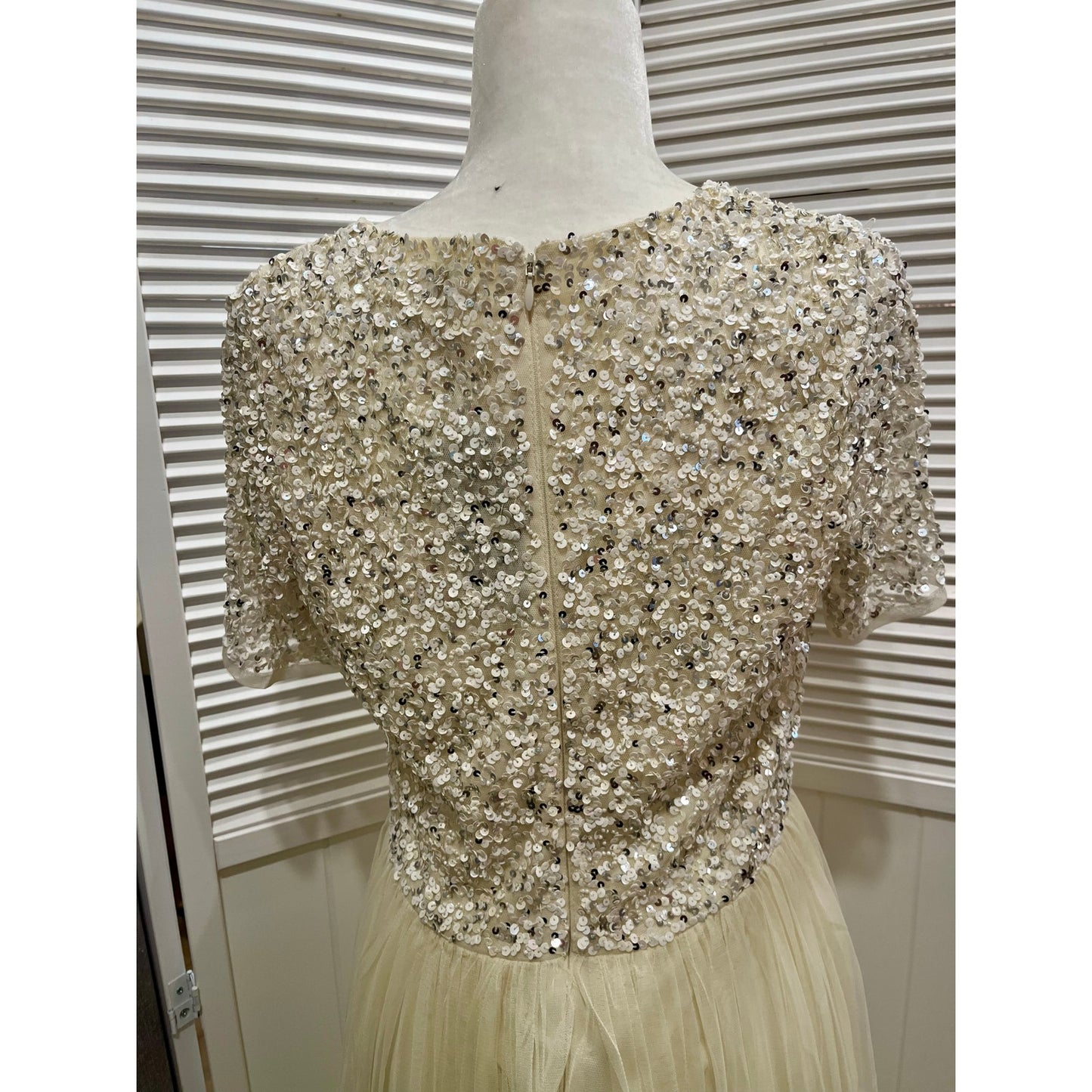 Maya Deluxe Beaded Tulle Dress NWT