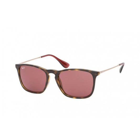 Ray-Ban Sunglasses Chris in Havana and Dark Violet Brand New