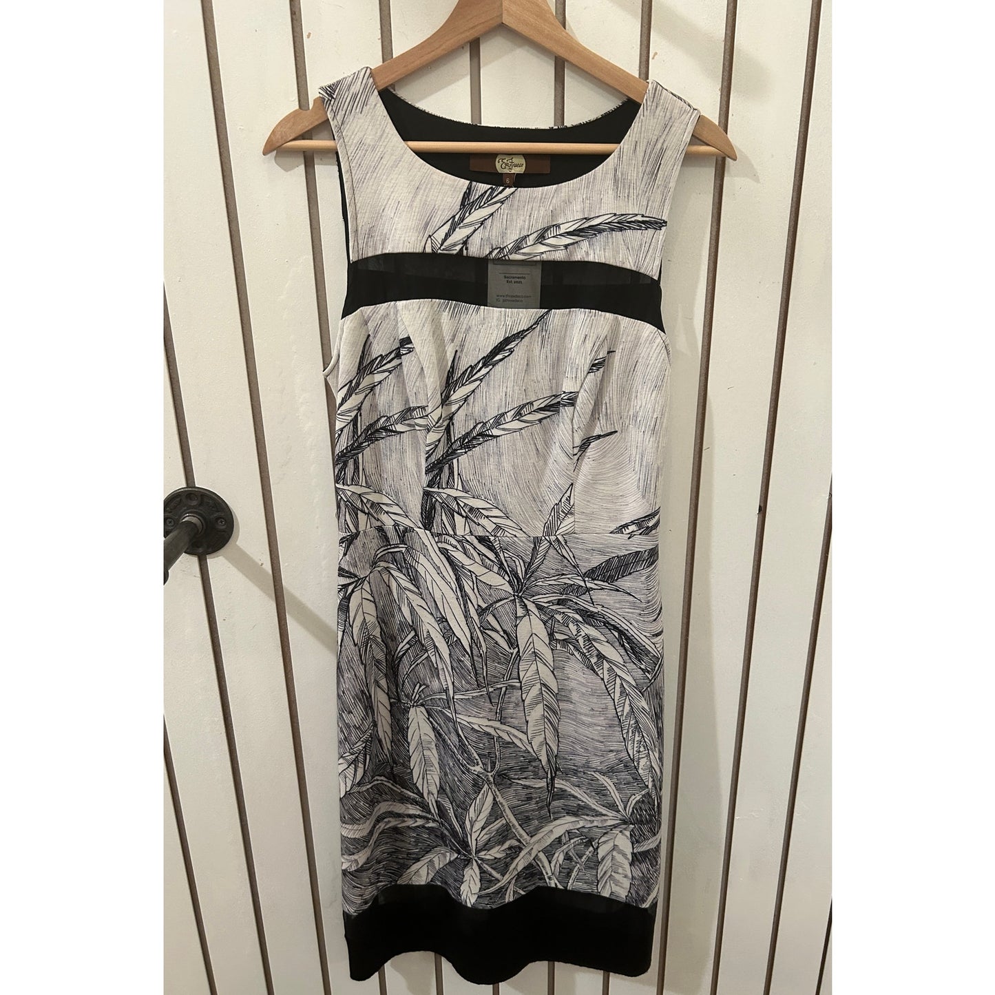 Eva Franco Dress Size 6