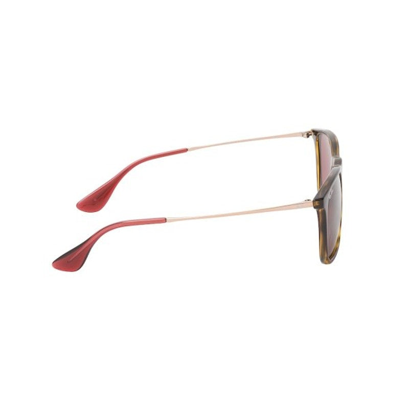 Ray-Ban Sunglasses Chris in Havana and Dark Violet Brand New